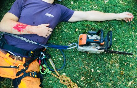 Forestry First Aid training - In Safe Hands training